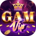 Gamvip – Đánh giá về cổng game quốc tế hàng đầu thị trường Châu Á Gam.vip