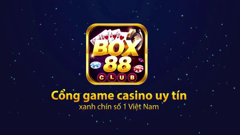 Box88 được sự đón nhận nhiệt tình của hàng nghìn anh em mỗi ngày